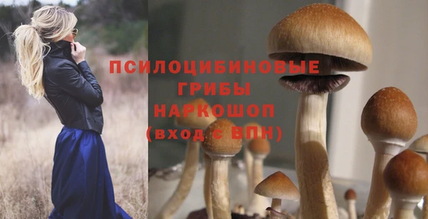 дурь Алзамай