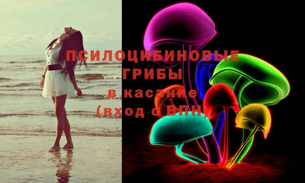 дурь Алзамай