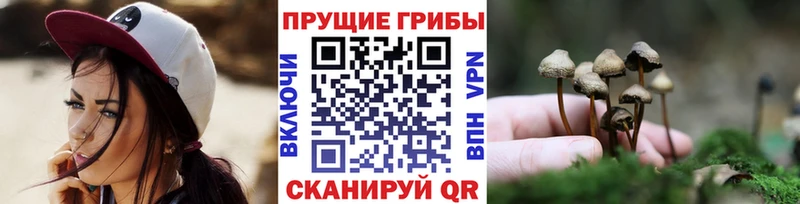 Галлюциногенные грибы Psilocybine cubensis  что такое наркотик  Николаевск 